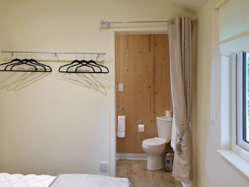 YaldingShepherds Hut 1 At Laddingford - Uk32531的一间带床和卫生间的浴室