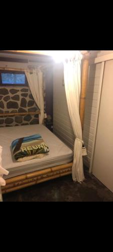 圣勒T2 vue sur Ocean Indien的一间卧室配有一张带窗帘的床和窗户