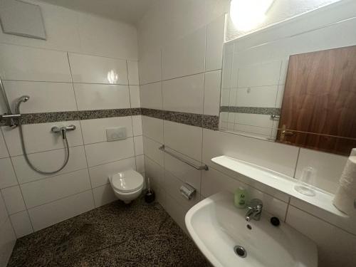 萨尔察赫河畔戈灵托仁纳霍夫酒店的一间带水槽、卫生间和镜子的浴室