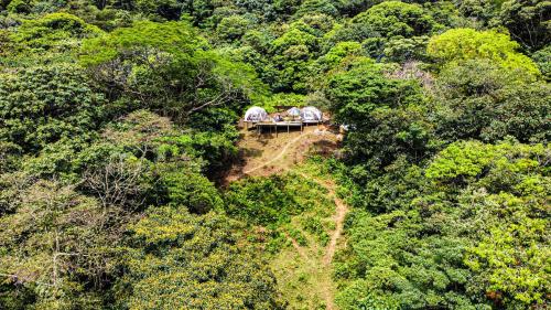 比亚维森西奥Itawa Family Glamping & Ecoparque turístico的一群站在森林中间的人