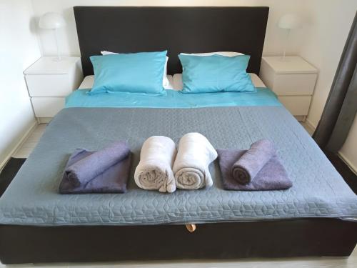 瓦布里加Apartment Valentino的床铺上备有一组毛巾。