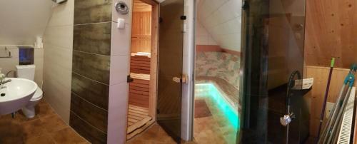 斯托尼拉斯奇Dom pod Wilczyńcem的带淋浴的浴室和游泳池