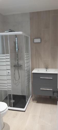韦尔内莱班LE REFUGE DES CASCADES的带淋浴、盥洗盆和卫生间的浴室