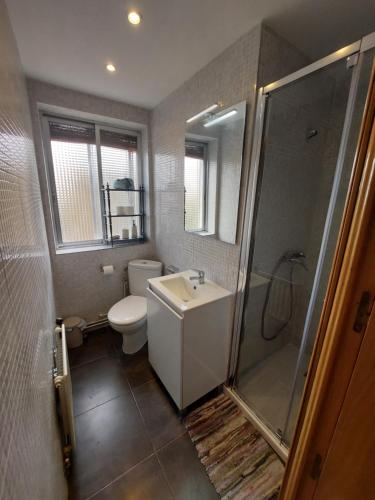 马德里Alia的浴室配有卫生间、盥洗盆和淋浴。