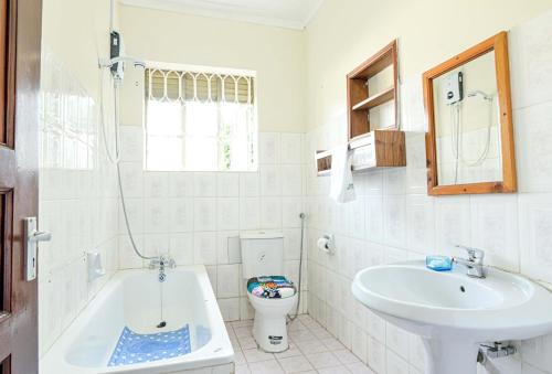 恩德培Cycad Entebbe Guest House的一间带水槽、浴缸和卫生间的浴室