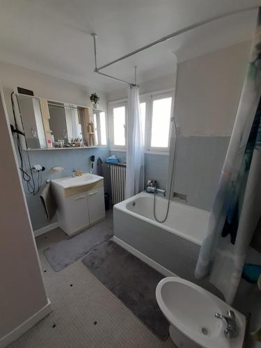 塞纳河畔埃皮奈Chambre d'hôte près de Paris的带浴缸、卫生间和盥洗盆的浴室