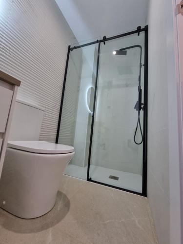 利纳雷斯Casa Casco Antiguo的一间带卫生间和玻璃淋浴间的浴室