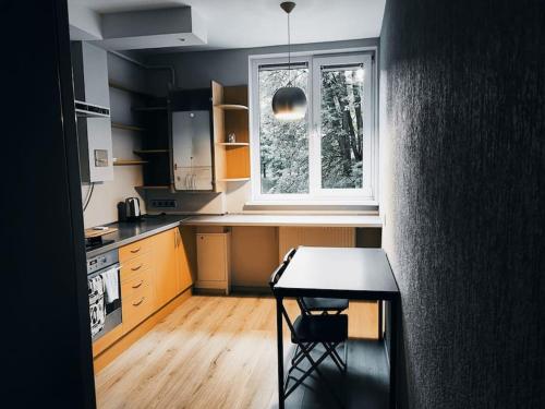 维尔纽斯Beepartment的一个带桌子和窗户的小厨房