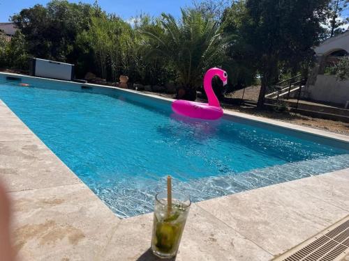 文蒂塞里Maison de vacances的游泳池里的粉红色火烈鸟,喝上一杯
