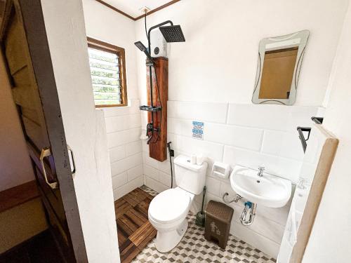 圣维森特La Lola的一间带卫生间和水槽的小浴室