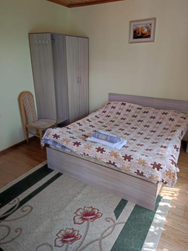 乔尔蓬阿塔Жаркое лето на Иссык-Куле的一间卧室配有一张床和一把椅子