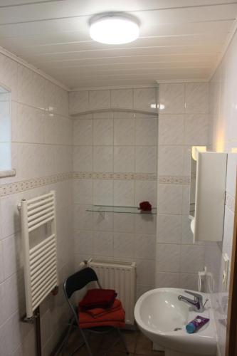 Klein BeuchowFerienunterkunft in Lübbenau Spreewald的白色的浴室设有水槽和淋浴。