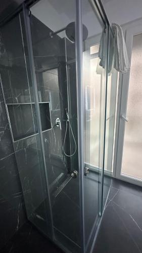 圣金Sole apartments的浴室里设有玻璃门淋浴