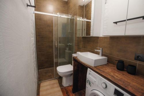 图库姆斯"Quiet Center" apartment, close to train station的浴室配有卫生间、盥洗盆和淋浴。