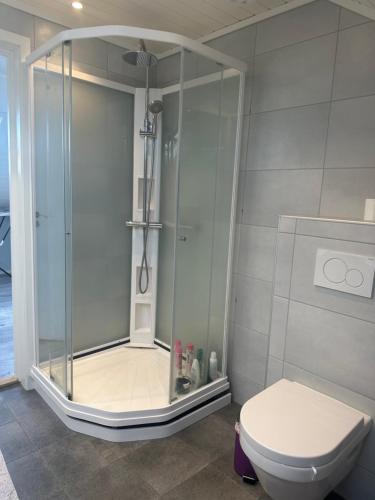 奥勒松Nørvegata 64的带淋浴和卫生间的浴室