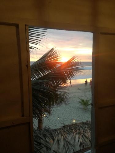蒙塔尼塔La Cabaña的享有海滩美景的窗户,棕榈树