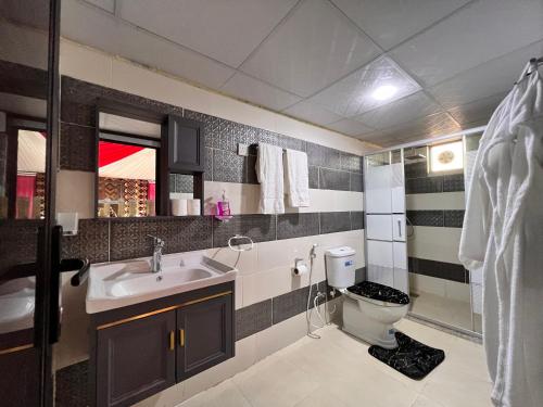 瓦迪拉姆瓦迪鲁姆天空之旅营地旅馆的一间带水槽和卫生间的浴室