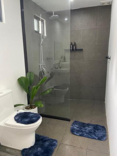 爱妮岛Rvilla El Nido的带淋浴的浴室以及带蓝色地毯的卫生间。