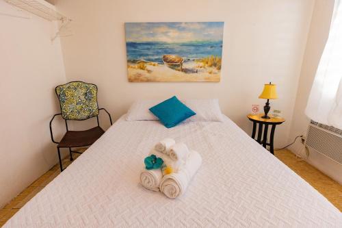 别克斯Vieques Tropical Guest House的一间卧室配有带毛巾的床
