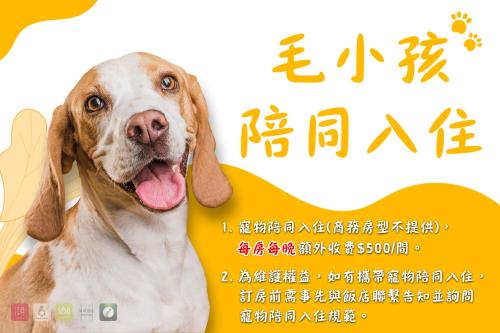 平镇168平镇馆 的一只狗的舌头的照片