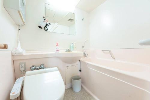 Harada白浜大洋マンション的一间带卫生间、水槽和镜子的浴室