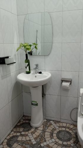 波特尔堡Fort Marigold Hotel的浴室设有水槽,瓶子里装有植物