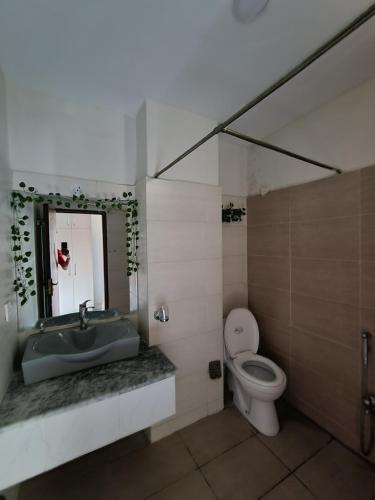 伊斯兰堡Three Bed Attached Bath Netflix Wifi Smart TV Parking WFH Desk的一间带水槽、卫生间和镜子的浴室