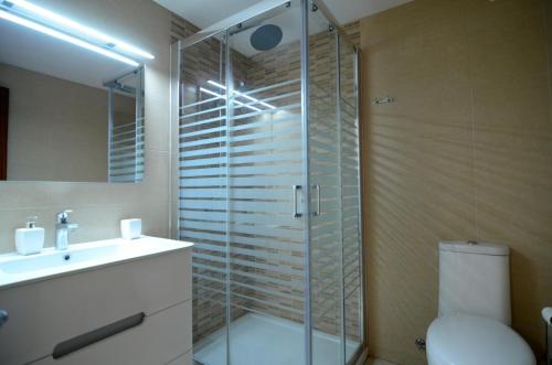 莱斯卡拉Apartamentos Els Pescadors的带淋浴、卫生间和盥洗盆的浴室