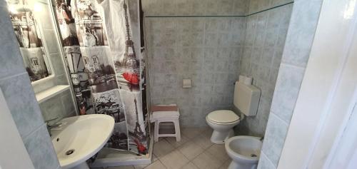 费拉约港Hotel Le Ghiaie的一间带水槽、卫生间和淋浴的浴室