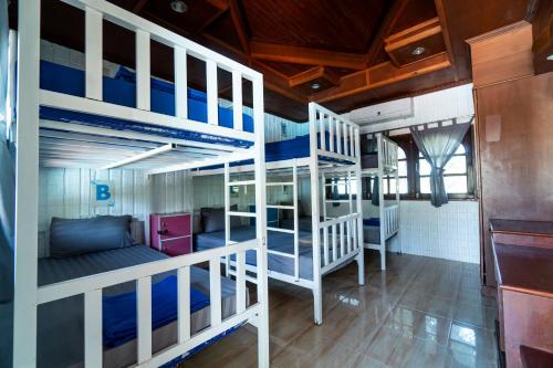 班泰Bodega Koh Pha Ngan Pool的客房内的一组双层床