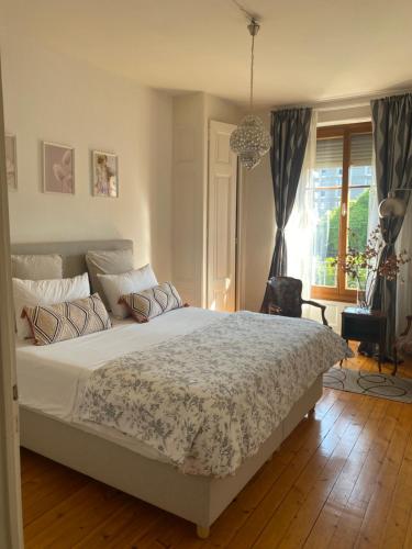 日内瓦HOCORAS Apartment的卧室设有一张白色大床和一扇窗户。