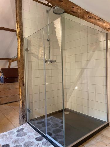 迪斯特爱因斯坦艺术乡村民宿的浴室里设有玻璃门淋浴