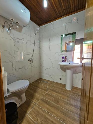 克鲁亚Castle - inside,Voga Guesthause的一间带卫生间和水槽的浴室