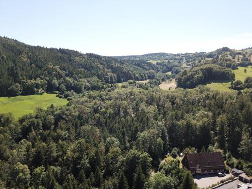 奥尔贝Coté Forêt的树木林和房屋的空中景观