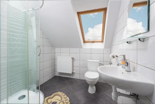 克罗科瓦匝亚德阿维纳宾馆的浴室配有卫生间、盥洗盆和淋浴。