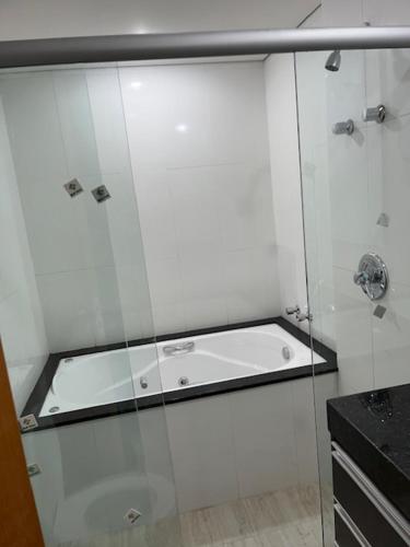 贝洛奥里藏特Apartamento de luxo no Hotel Stop-Inn Cristiano Machado的一个带水槽的玻璃淋浴间