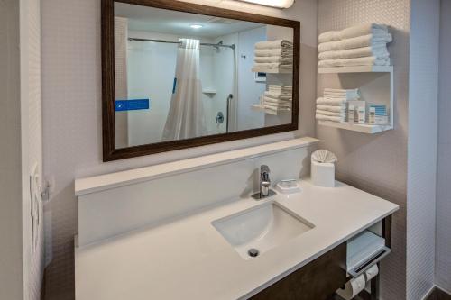 达文波特南奥兰多梅因盖特汉普顿酒店的浴室配有盥洗盆、镜子和毛巾