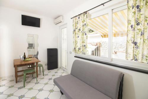 伊斯基亚La Turrita Apartments的带沙发和窗户的客厅