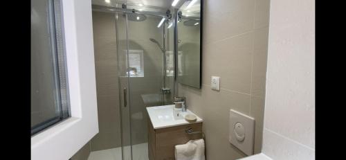 BernardswillerL'ATELIER的带淋浴、盥洗盆和镜子的浴室