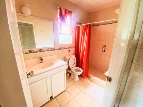基督教堂市Terracotta Enterprise - Gated Community Home的一间带水槽、卫生间和镜子的浴室