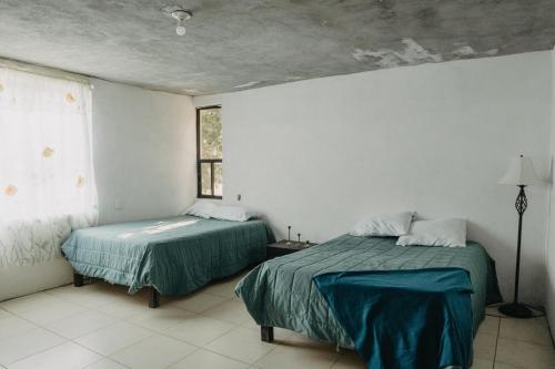 阿特阿加Pinitos Ranch Country House的一间卧室设有两张床和窗户。