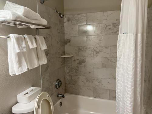 橘园橙园戴斯酒店的带浴缸、卫生间和淋浴的浴室。