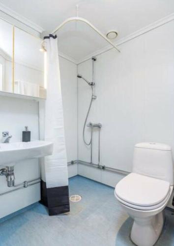 GarderStudio apt close to Airport的一间带卫生间和水槽的浴室