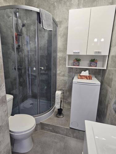 凯尔采Apartamenty KoktajLOVE的带淋浴、卫生间和盥洗盆的浴室