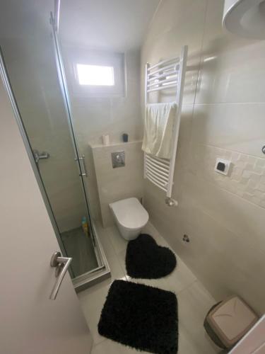 查查克Apartman Una的一间带卫生间、淋浴和地毯的浴室