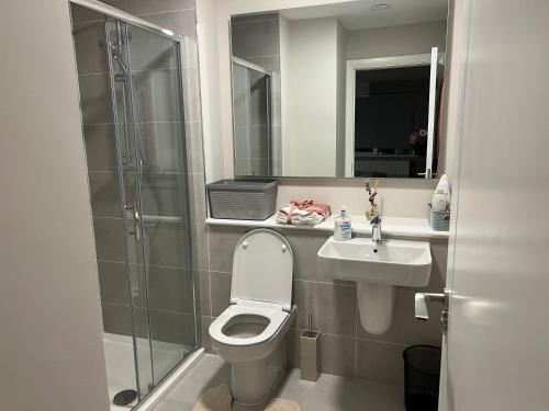 都柏林3 bed rooms Vip family house的浴室配有卫生间、盥洗盆和淋浴。