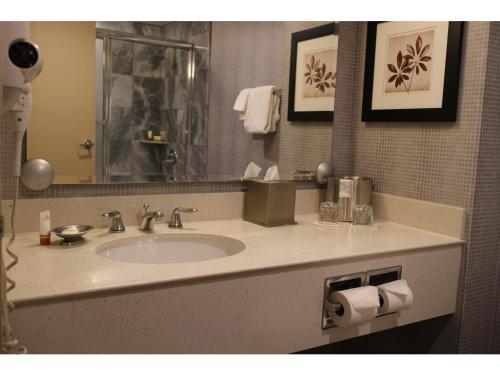 拉斯维加斯Pleasant Unit at New York New York Strip Las Vegas的一间带水槽和镜子的浴室