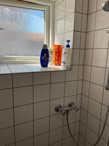哥本哈根Nice room near airport的浴室设有淋浴,在架子上备有肥皂和瓶子