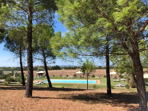 阿夏诺Casa Country House Girasole vakantie huis-WAKACJE HUIS的树木繁茂的公园内的游泳池