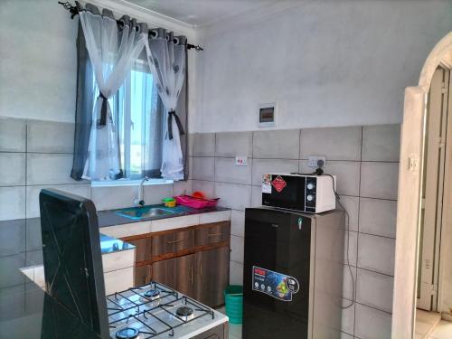 蒙巴萨Villa Cafellerio的一间带水槽和冰箱的小厨房